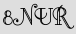 Security Captcha